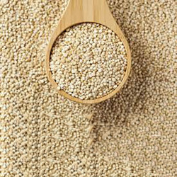 ENSALADA JAPONESA TARRO 350gr.